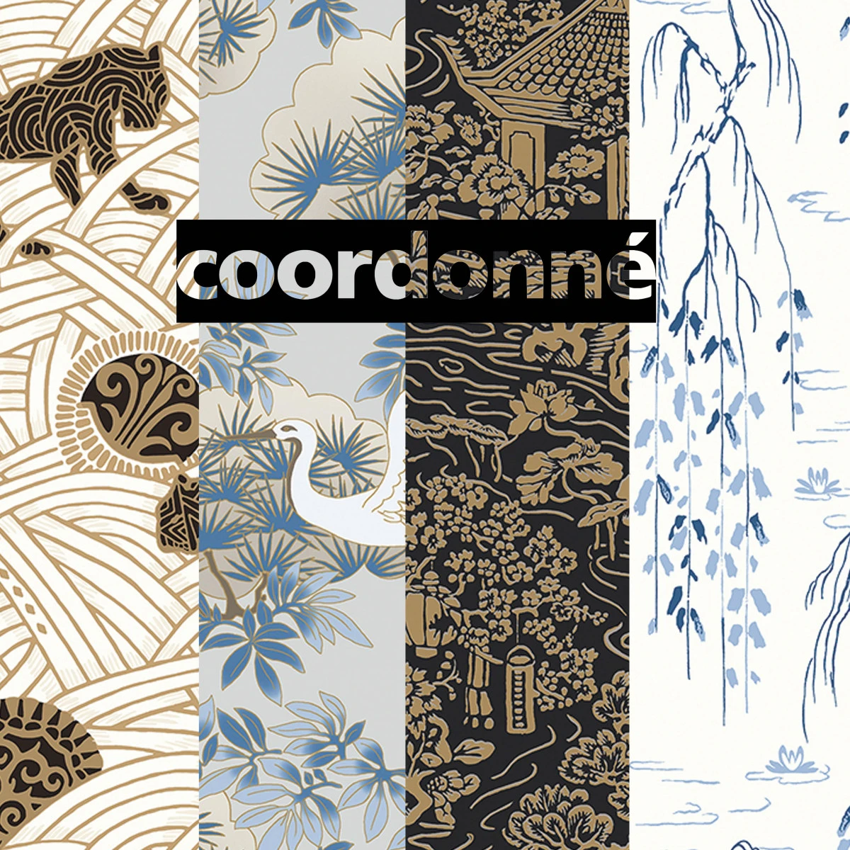 Sakura - Coordonné