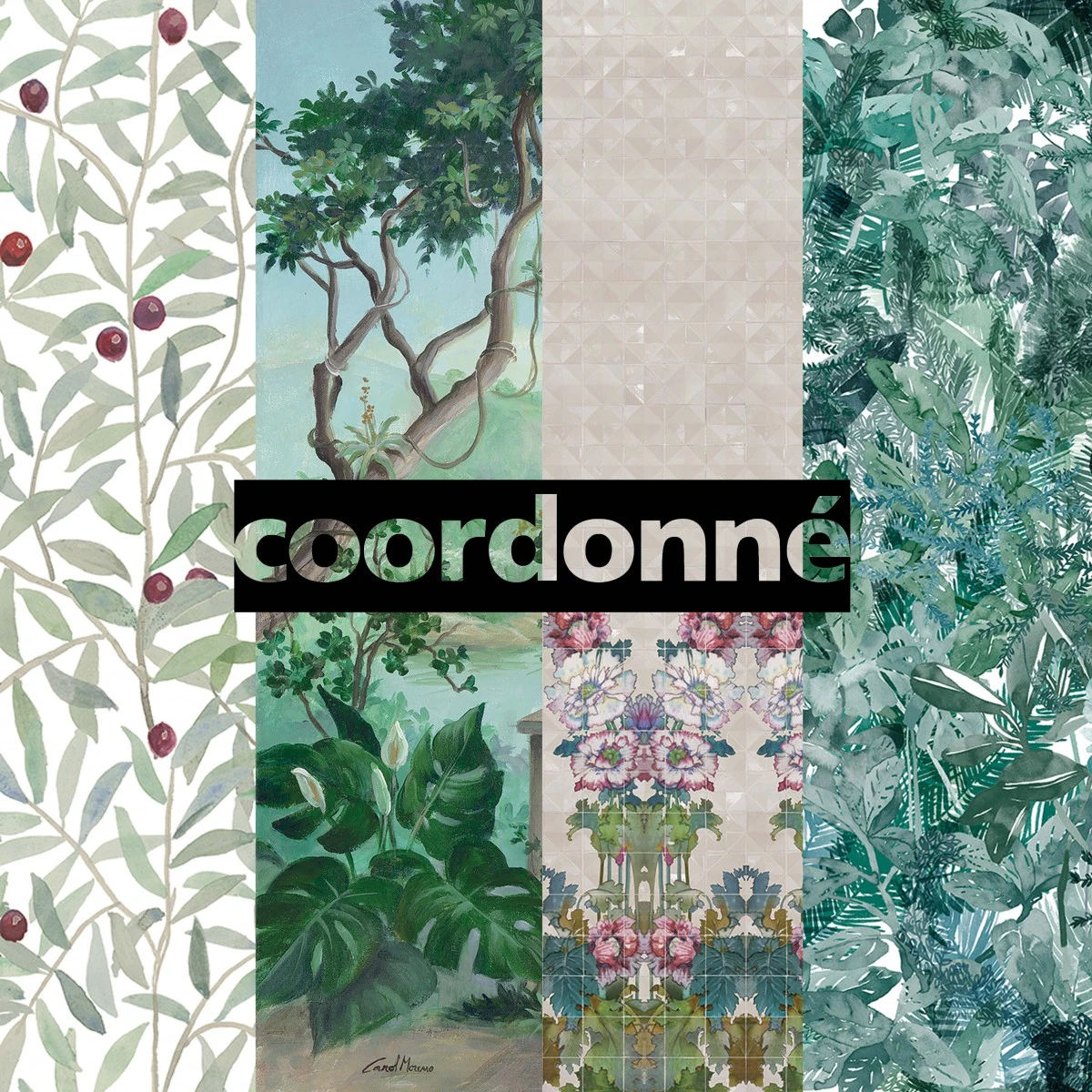 40th anniversary - Coordonné