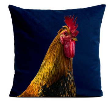 coq