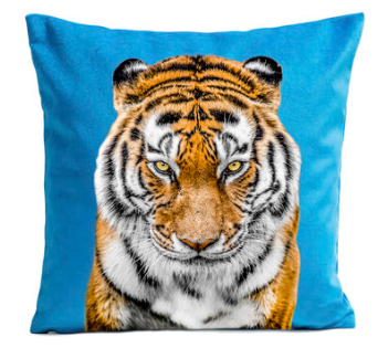 tiger-blue