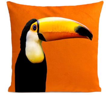 toucan-orange