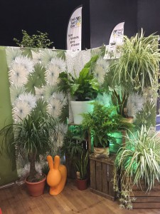 Salon entrepreneuriat 2018