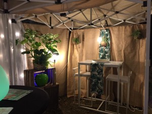 Senlis Trendy 2018