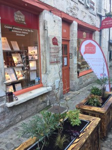 Un Avant Goût de Printemps - Février 2019
