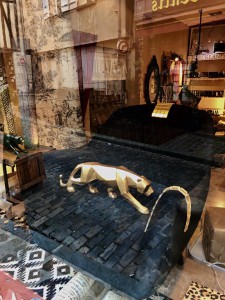 Réveillez l'animal qui est en vous ! - Septembre 2019