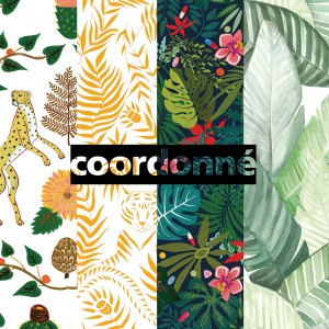 Anima - Coordonné