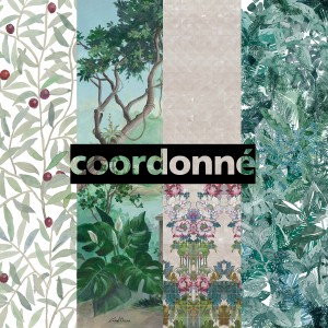 40th anniversary - Coordonné