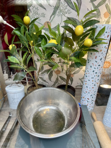 EN MARS TOUS EN CUISINE 