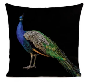 royal-peacock-black